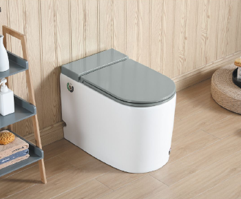 3001S Smart toilet