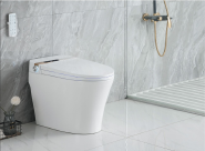 2061BT Smart toilet