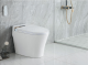 2061BT Smart toilet