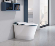 HQ555 Toilets