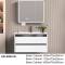 Wall Mounted Water proof Aluminum Alloy Bathroom Storage Bathroom Vanity with Mirror