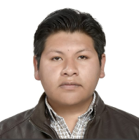 Rodolfo A. Mamani Ballejo