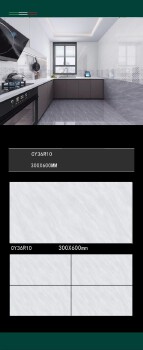 ceramic wall tiles size 300x600mm interior wall matt CY36R10