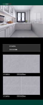 ceramic wall tiles size 300x600mm interior wall matt CY36R06