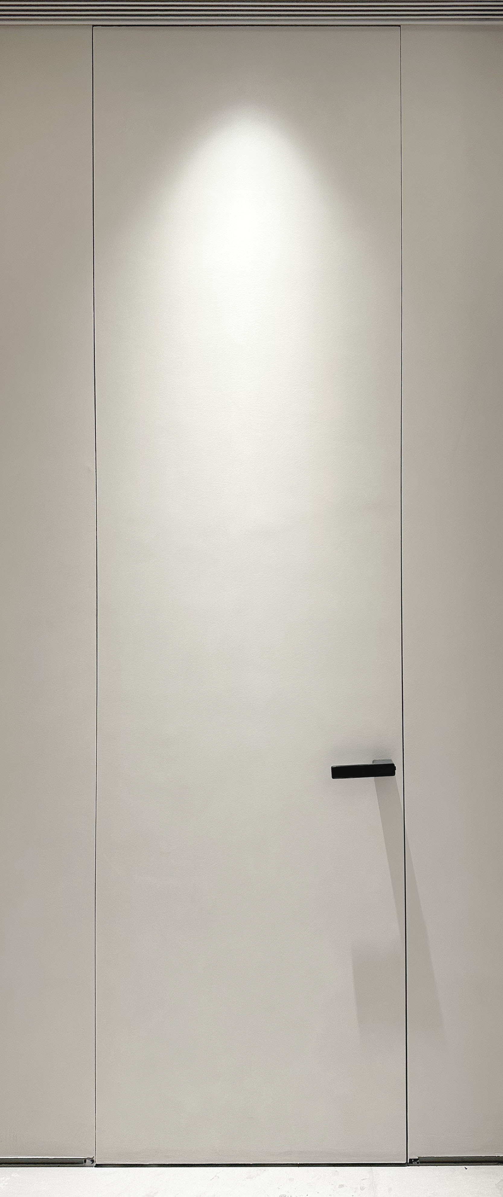 Aluminum Wooden Doors