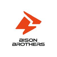 Shenzhen Bison Electric Power Technology Co., Ltd.