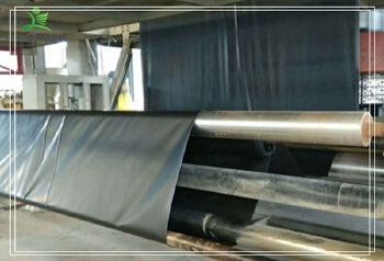 LX02 HDPE Geomembrane pond lind for landfill waterstorage shrimpt pond