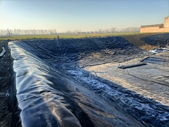 LX03 0.5mm 1.5mm 1.0mm HPDE Geomembrane shrimp use Pond liner