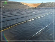 LX02 HDPE Geomembrane pond lind for landfill waterstorage shrimpt pond