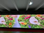 MF P10 Indoor LED Screen