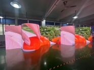 MF P5 Indoor LED Screen