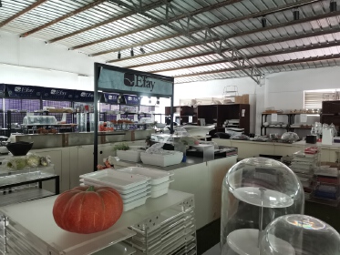 Efay Shanghai ltd.
