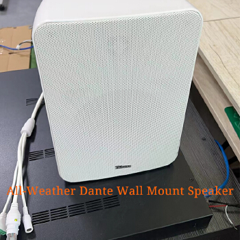 DEKEN FIT WS6L (DT) PA System Dante IP Network Active Waterproof Outdoor 60W Wall Mount Box Speaker 48VPOE Power Supply Speaker