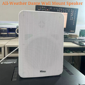 DEKEN FIT WS6L (DT) PA System Dante IP Network Active Waterproof Outdoor 60W Wall Mount Box Speaker 48VPOE Power Supply Speaker