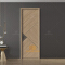 Carbon crystal paint free door