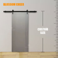Carbon crystal paint free barn door