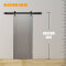 Carbon crystal paint free barn door