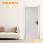 Skin-Fell Single Plate Painted Free Barn Door
