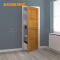 Wood veneer paint door
