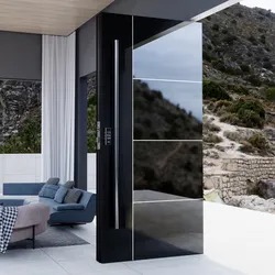 Stainless steel entry swing door