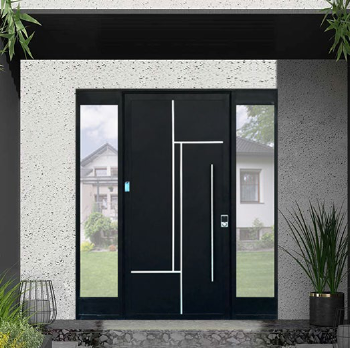 High class customize entrance door