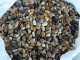 High-Polished Natural Stone Decorative Pebbles Mixed round Cobble and White Stone