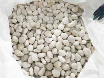 High-Polished Natural Stone Decorative Pebbles Mixed round Cobble and White Stone