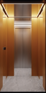 YJ-CB10-102 HGP Passenger Elevator with Machine Room