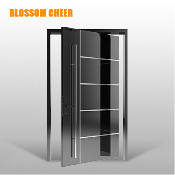 Stainless steel entry swing door