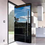 Stainless steel entry swing door
