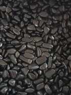 Fujian New Show Stone Co.,Ltd 
