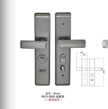 Entrance door anti-theft lock
