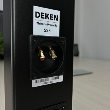 DEKEN SS6 Professional Full Range Slim Speakers 160W 8 Ohms 2-way Preamble Ultra Thin Column Pa Speaker for Indoor PA System