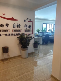 Shandong Shengyi Power Technology Co., Ltd.