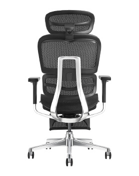P600 Ergonomic office chair