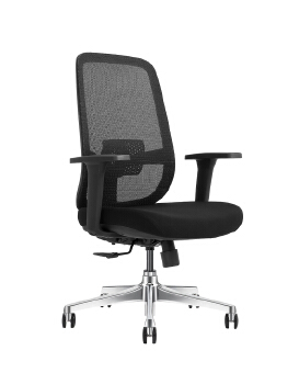 EplaN100 HB Ergonomic office chair