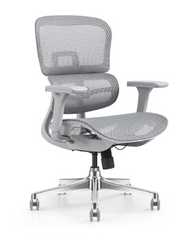 P200 Ergonomic office chair