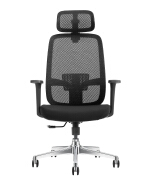 EplaN100 HB Ergonomic office chair