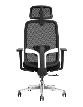 EplaN100 HB Ergonomic office chair