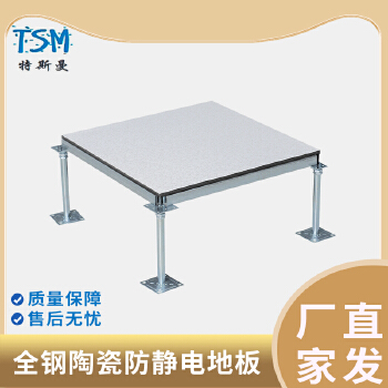 汇联汇丽特斯曼全钢陶瓷防静电地板 60060040mm