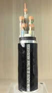 wdzn-yjy23 0.6/1kv 4*70+1*35  Cable