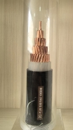 The ZC - YJV 0.6/1kV 1*500  Cables