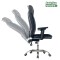 (AS-B2891CM) Ergonomic Office Chair with Adjustable Height and Lumbar Support