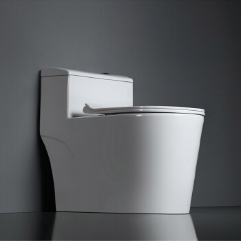 Luxury Elongated Sanitary Ware One Piece Toilet Bowl