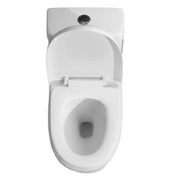 Eddy One Piece Toilet A8337