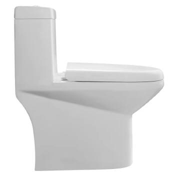Eddy One Piece Toilet A8337