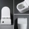 Luxury Elongated Sanitary Ware One Piece Toilet Bowl