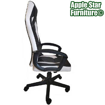 (AS-C2806N) Contemporary Office Gaming Chair with Metal and Plastic Design
