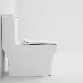 Eddy One Piece Ceramic Modern One Piece Toilet Ceramics Toilet