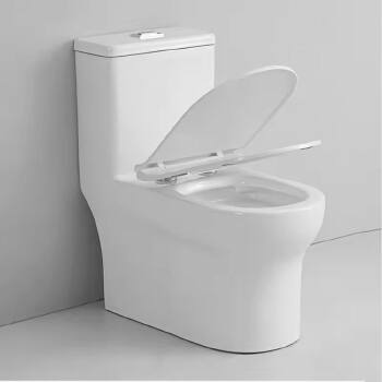 Eddy One Piece Ceramic Modern One Piece Toilet Ceramics Toilet